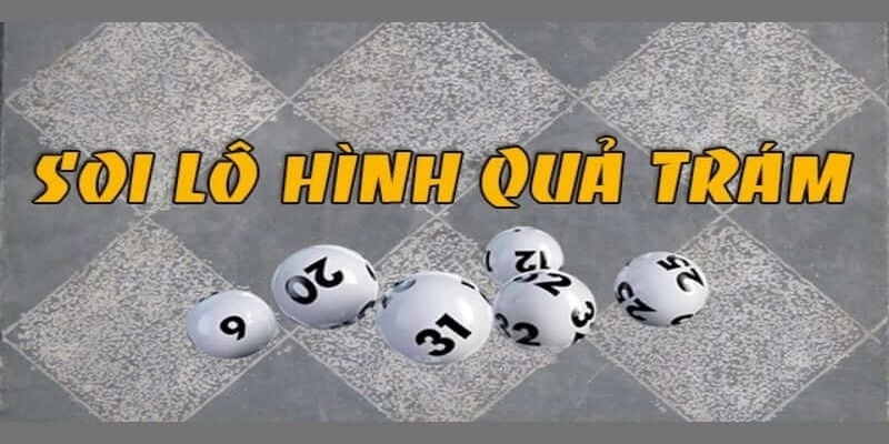 Kinh nghiệm phát hiện cầu quả trám